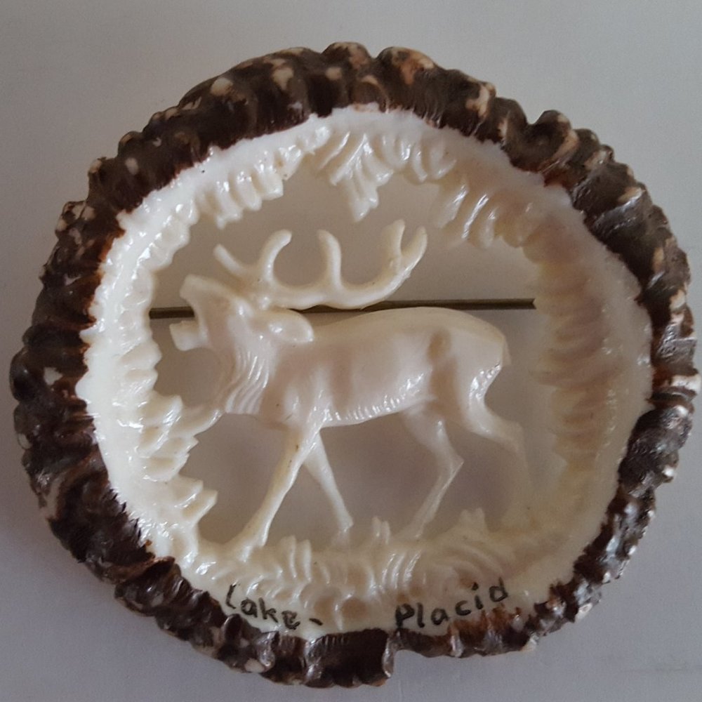 Vintage Pin Brooch Lake Placid Souvenir